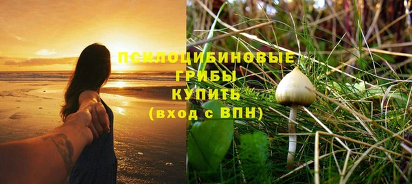 прущая мука Арсеньев