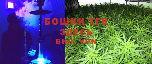 прущая мука Арсеньев