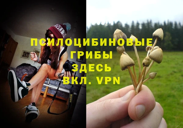 прущая мука Арсеньев