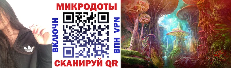 Псилоцибиновые грибы мухоморы как найти закладки Рославль